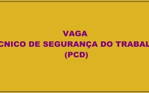 Vaga para Técnico de Segurança do Trabalho (PCD)-BH